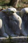 De Schlegels pinguïn?
<br/>
Marcel Westhoff, februari 2016